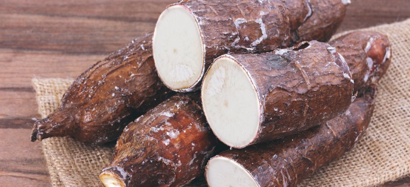 Yucca Root Hair Restore Conditioner