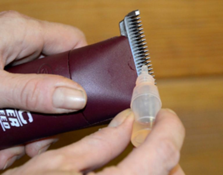 How to Oil Your Hair Clippers